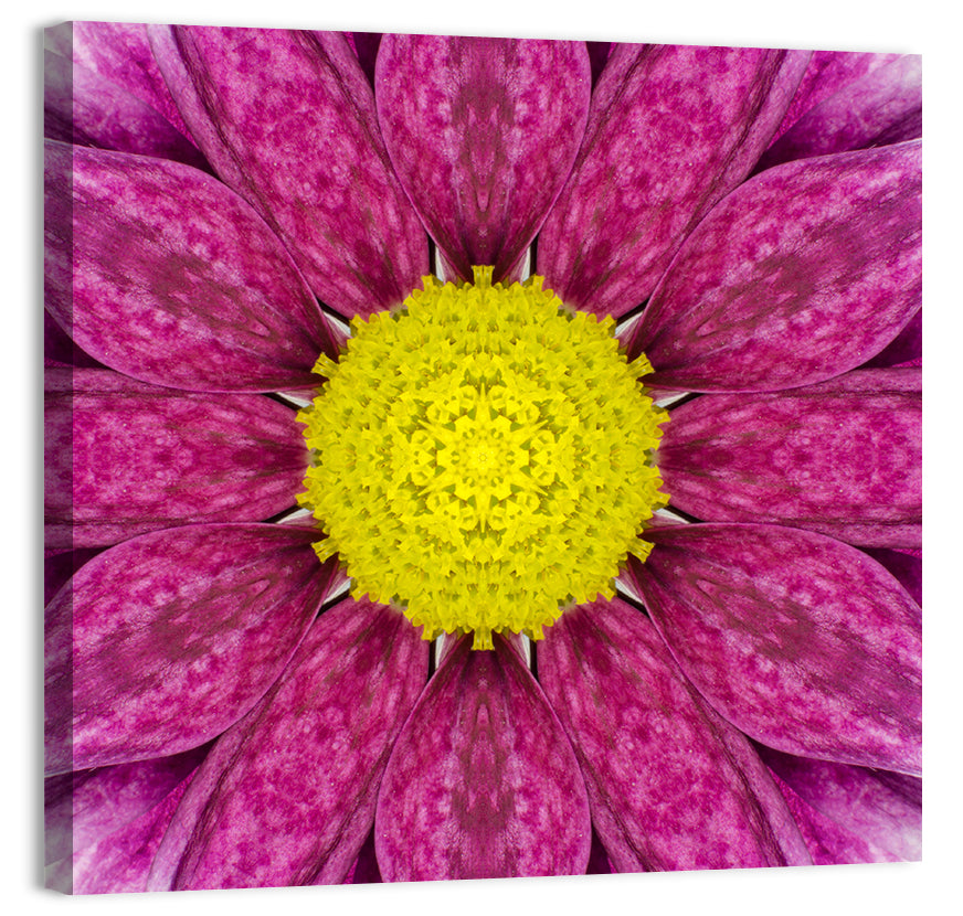 Kaleidoscopic Daisy Mandala Close Up Wall Art