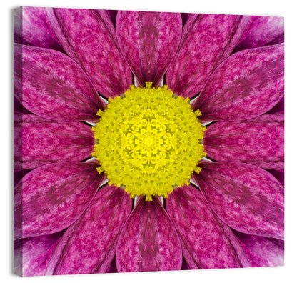 Kaleidoscopic Daisy Mandala Close Up Wall Art