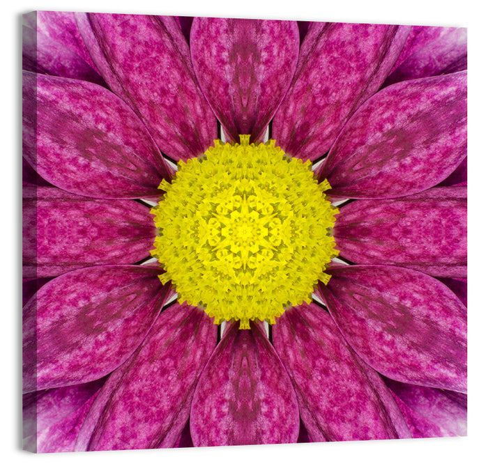 Kaleidoscopic Daisy Mandala Close Up Wall Art as a canvas print