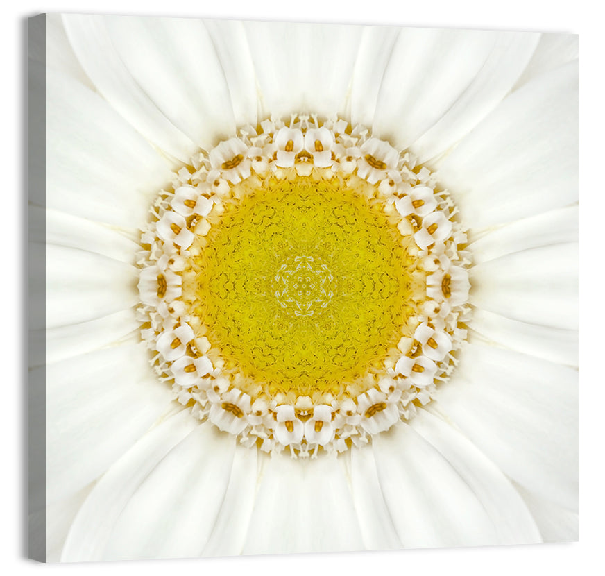 White Flower Mandala Kaleidoscope Wall Art