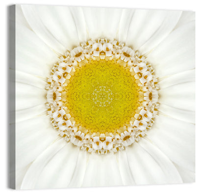 White Flower Mandala Kaleidoscope Wall Art