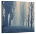 Misty Forest Pathway in Fog Wall Art