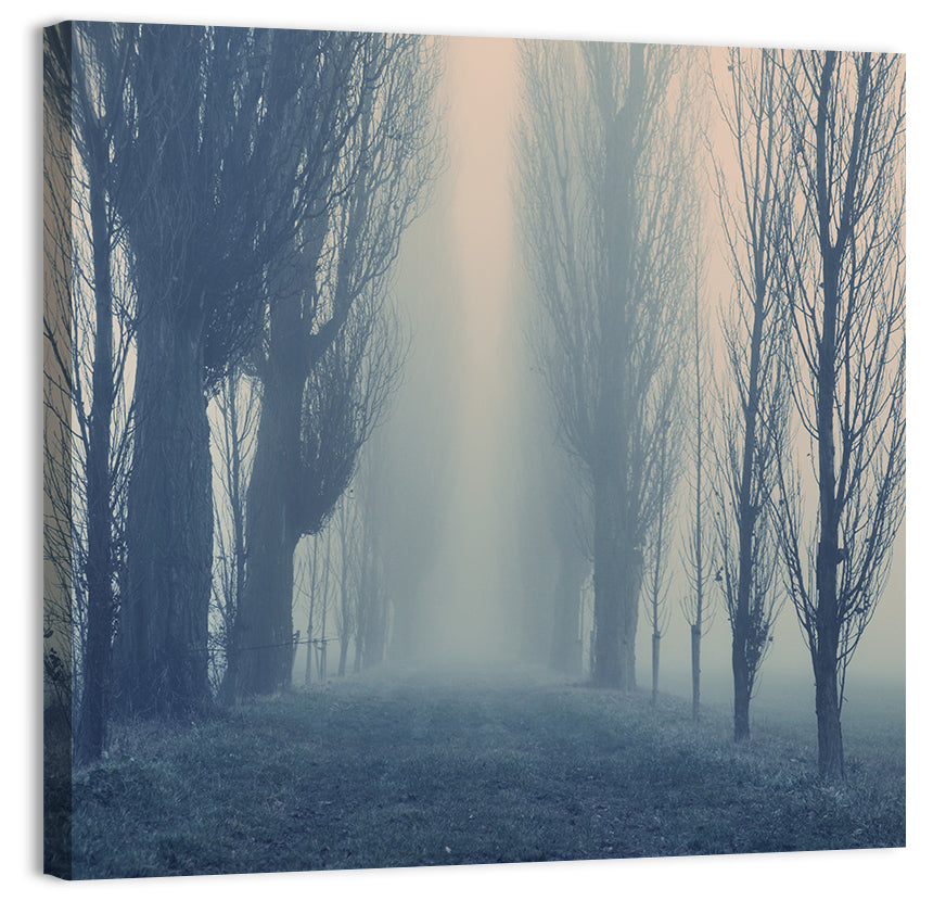 Misty Forest Pathway in Fog Wall Art