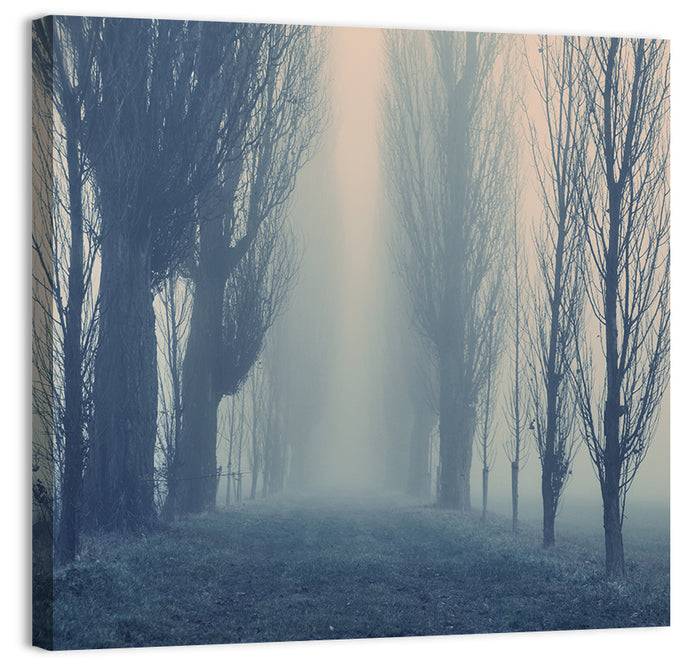 Misty Forest Pathway in Fog Wall Art as a canvas print