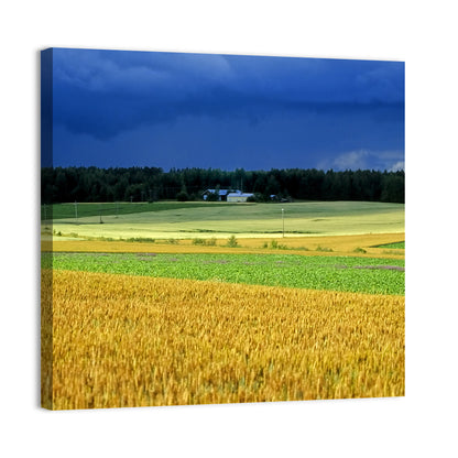 Cornfields Under Stormy Sky Wall Art