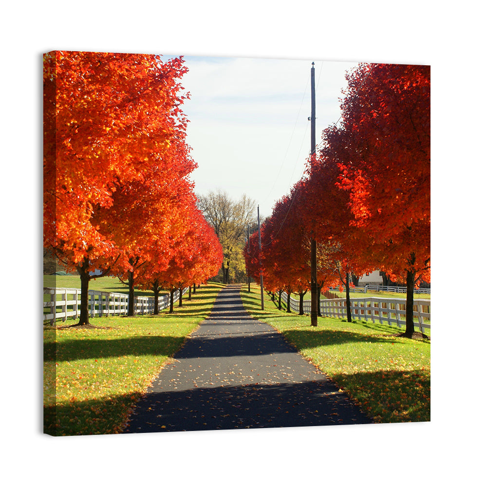 Frederick Farm Road Wall Art