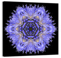 Cornflower Mandala Kaleidoscope Wall Art