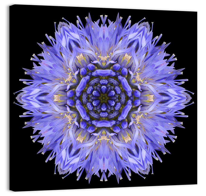Cornflower Mandala Kaleidoscope Wall Art