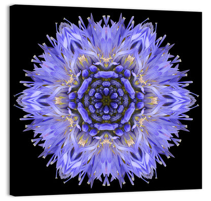 Cornflower Mandala Kaleidoscope Wall Art