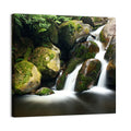 Rainforest Waterfall with Moss Covered Boulders Wall Art
