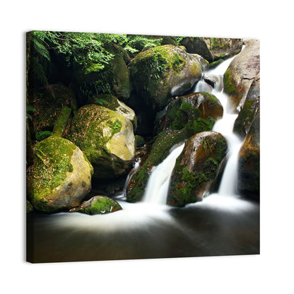 Rainforest Waterfall with Moss Covered Boulders Wall Art