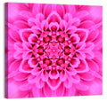 Kaleidoscopic Chrysanthemum Mandala in Magenta Wall Art