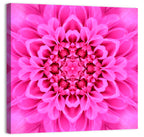 Kaleidoscopic Chrysanthemum Mandala in Magenta Wall Art