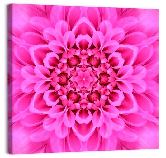 Chrysanthemum Flower Wall Art