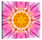 Kaleidoscopic Dahlia Mandala Bloom Wall Art