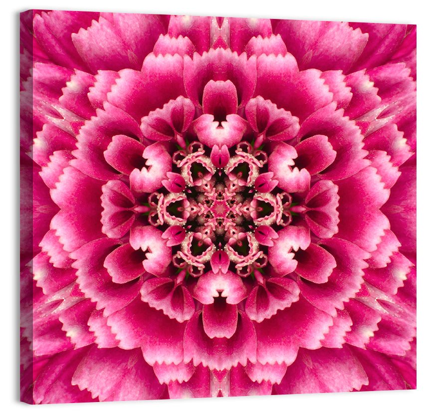 Kaleidoscopic Pink Chrysanthemum Mandala Wall Art