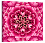 Kaleidoscopic Pink Chrysanthemum Mandala Wall Art