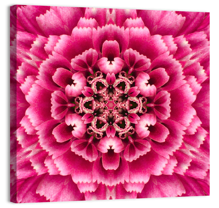 Kaleidoscopic Pink Chrysanthemum Mandala Wall Art as a canvas print