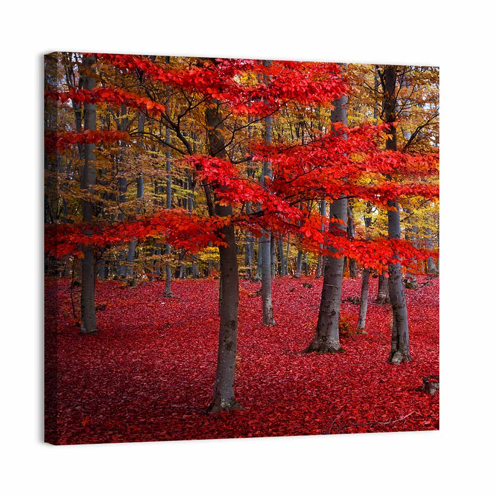 Crimson Autumn Forest Wall Art