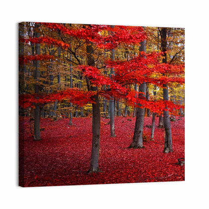 Crimson Autumn Forest Wall Art