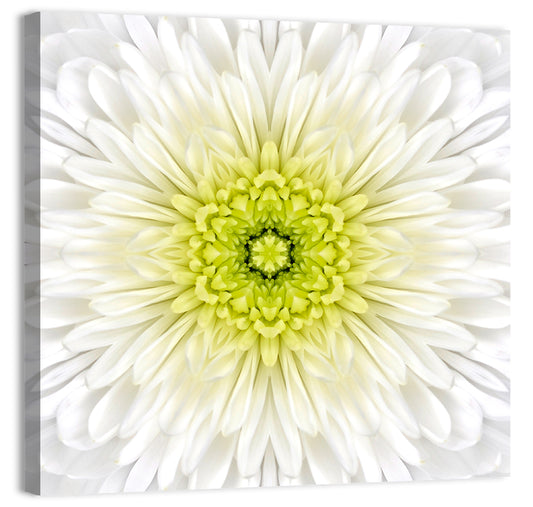 White Mandala Flower Wall Art