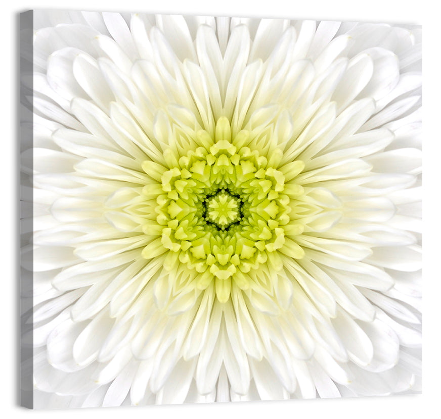 White Mandala Flower Wall Art