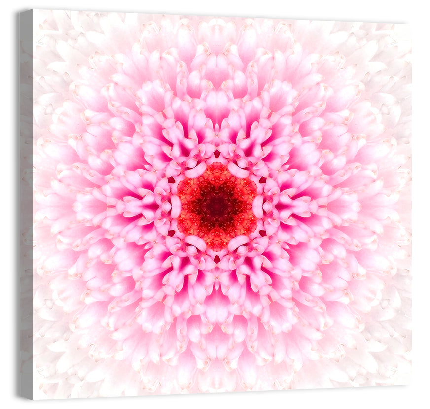 Pink Chrysanthemum Mandala with Deep Red Center Wall Art, canvas print, square