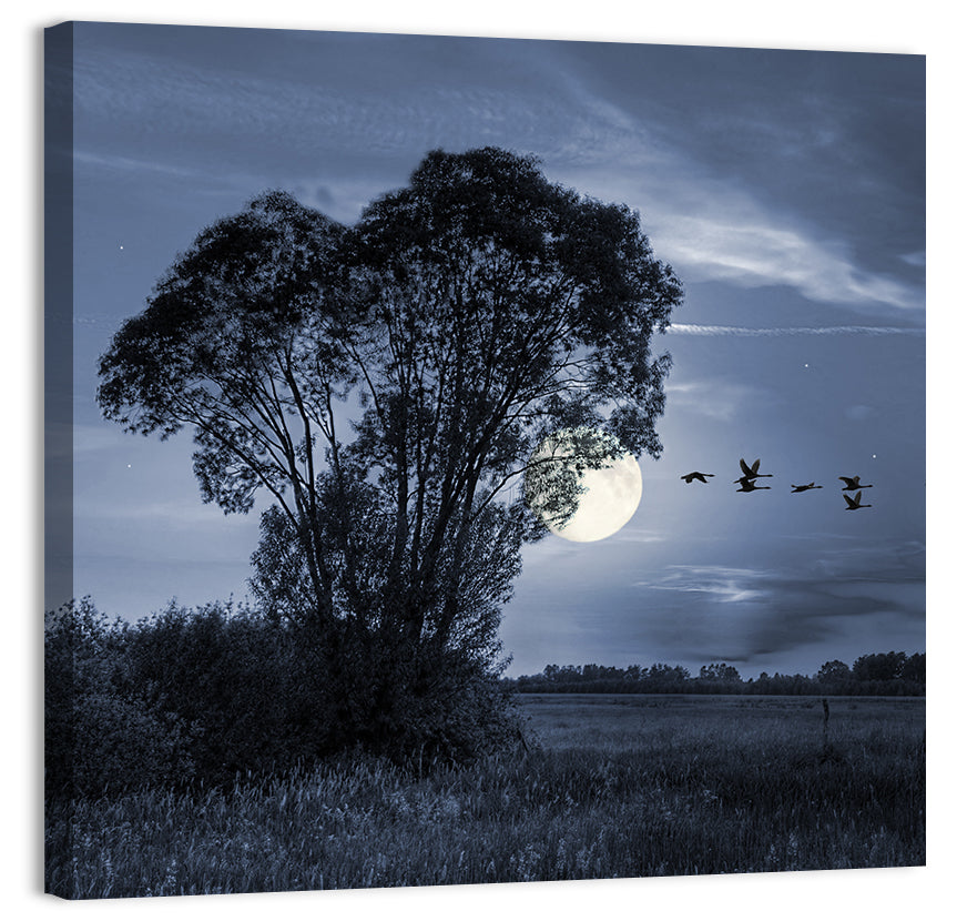 Moonlit Birds Over Quiet Field Wall Art