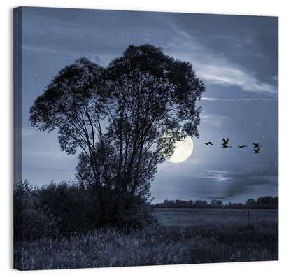 Moonlit Birds Over Quiet Field Wall Art