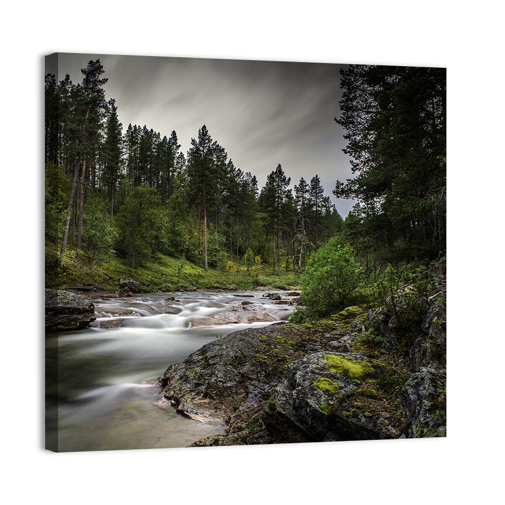 Mossy Forest Stream Wall Art