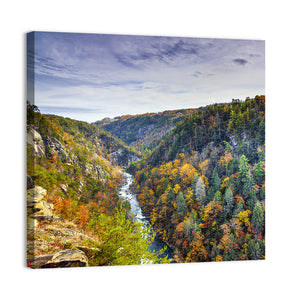 Tallulah Gorge State Park Wall Art