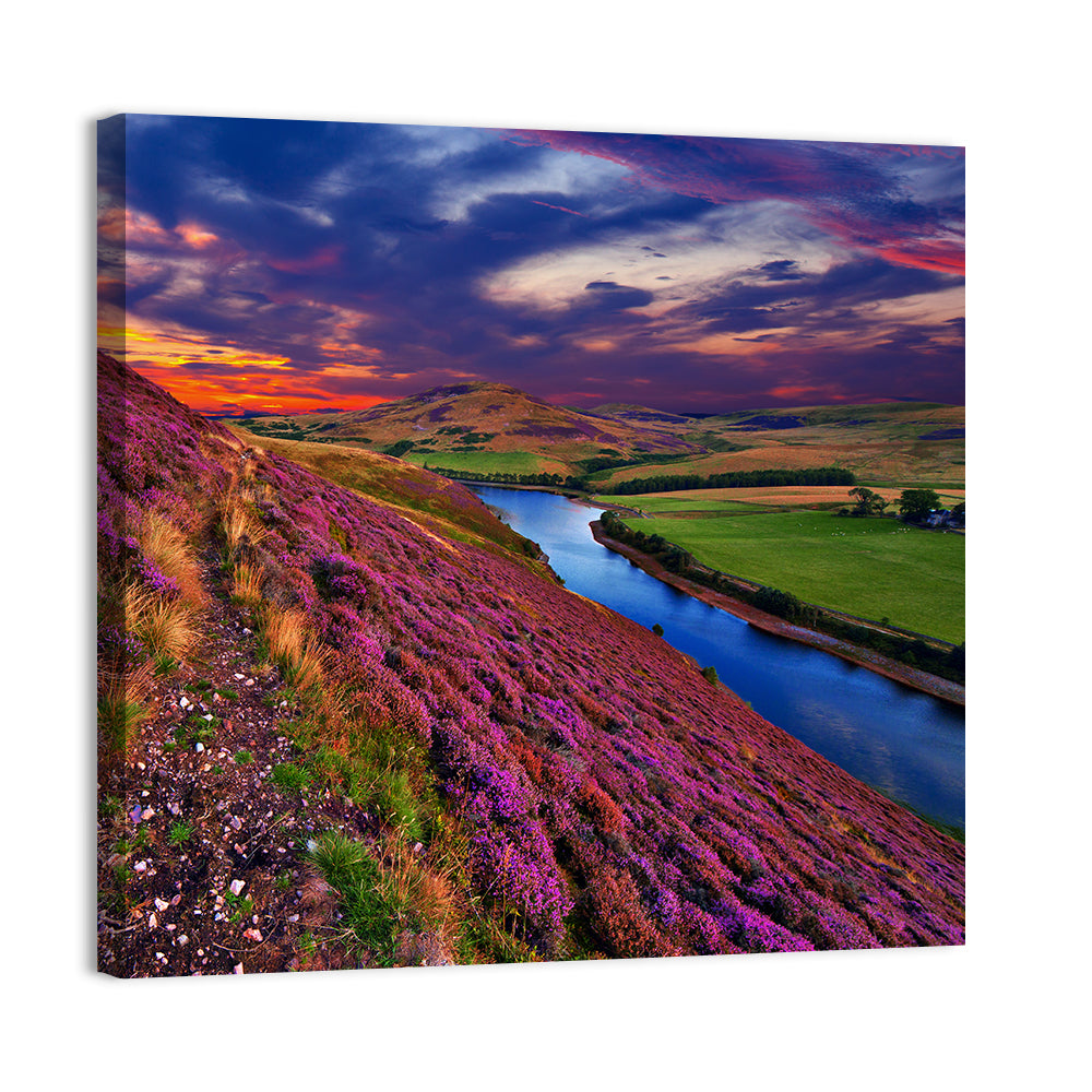 Pentland Hills Heather, Edinburgh Wall Art