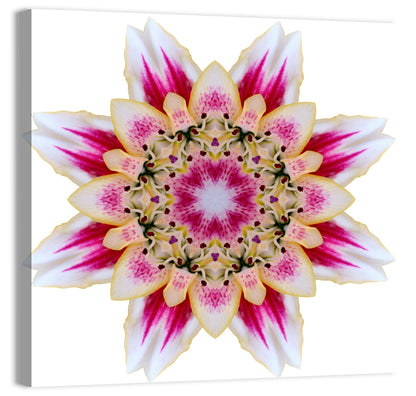Pink Lily Star Mandala Pattern Wall Art