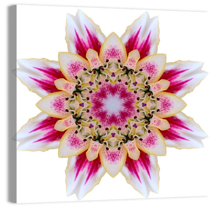 Pink Lily Star Mandala Pattern Wall Art as a canvas print