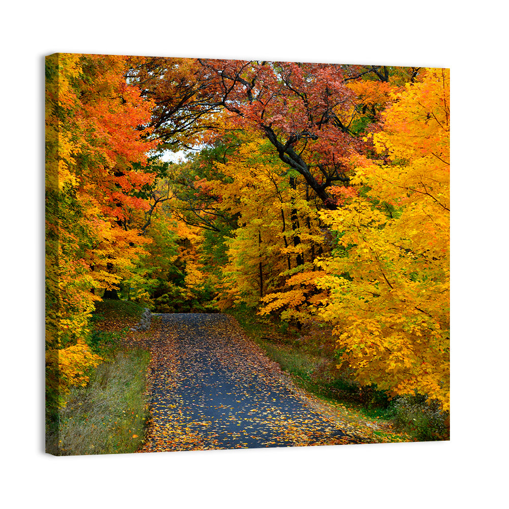 Autumn Road Through Wisconsin Park Wall Art