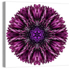 Purple Cornflower Kaleidoscope Mandala Wall Art