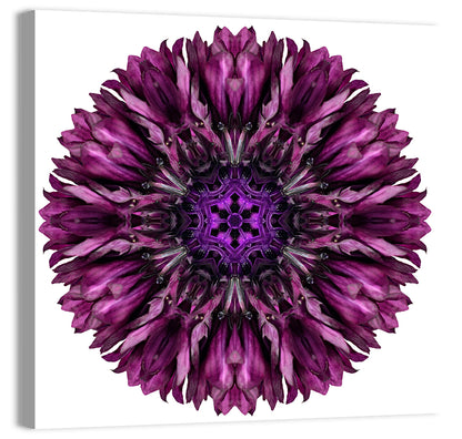 Purple Cornflower Kaleidoscope Mandala Wall Art