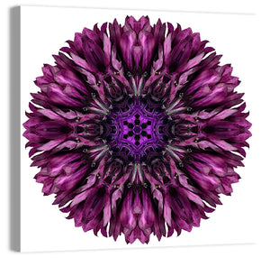 Circular Mandala Pattern Wall Art