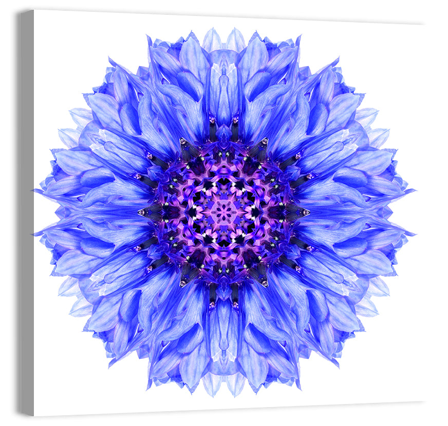 Cornflower Mandala with Dark Violet Center Wall Art