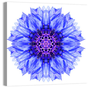 Cornflower Mandala Pattern Wall Art