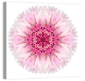 Pink Cornflower Kaleidoscope Mandala Wall Art