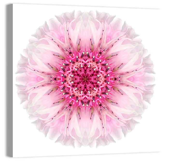Pink Cornflower Kaleidoscope Mandala Wall Art as a canvas print