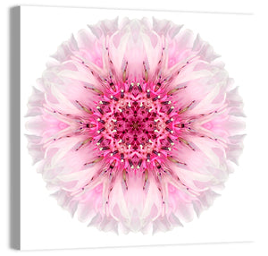 Pink Cornflower Wall Art