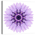 Lavender Cornflower Mandala Wall Art