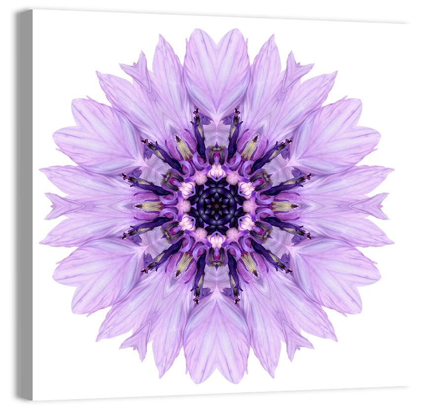 Lavender Cornflower Mandala Wall Art