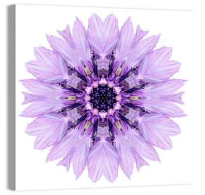 Lavender Cornflower Mandala Wall Art