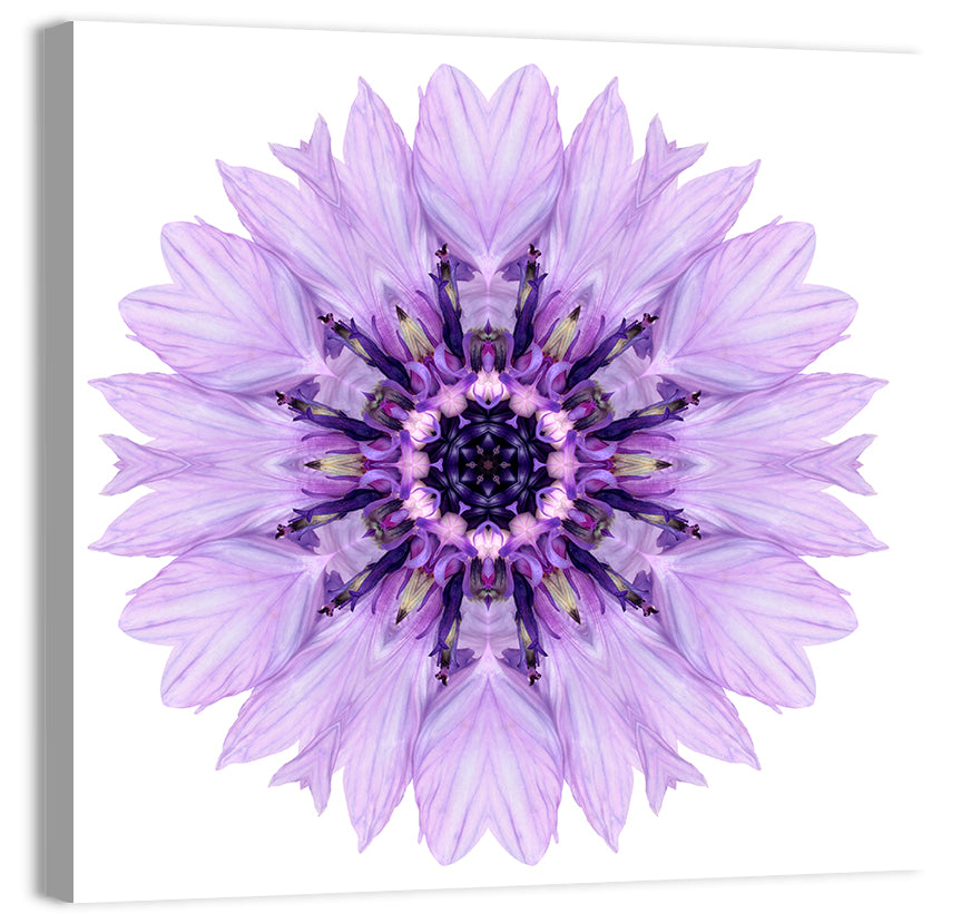 Purple Cornflower Mandala Wall Art