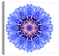 Blue Cornflower Mandala Pattern Wall Art