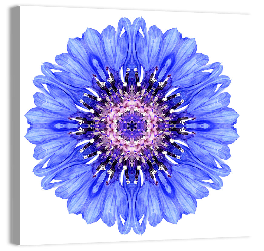 Blue Cornflower Mandala Pattern Wall Art