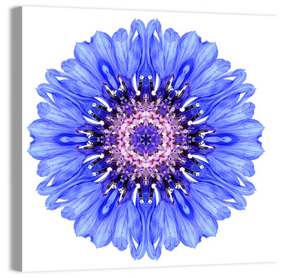 Blue Cornflower Mandala Pattern Wall Art